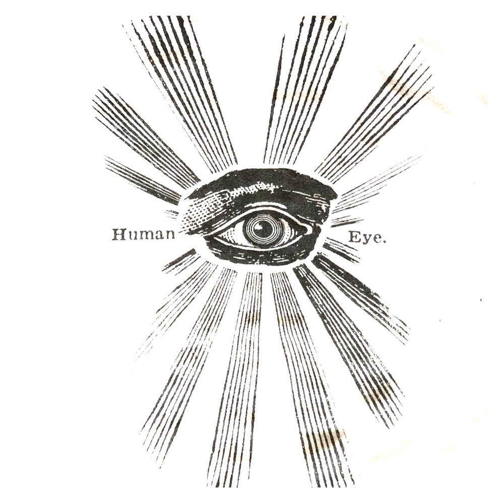 Human eye graphic tank